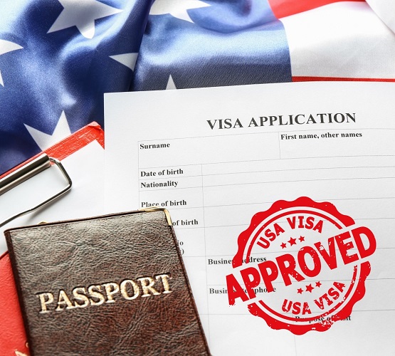 understanding usa visa application