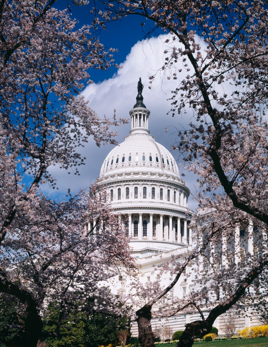 US Capitol Building